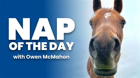 nap of the day|NAP of the Day .